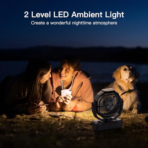 FRIZCOL Battery Operated Fan [200H Max], 2 IN 1 D-Cell Battery & USB Powered Fan, Portable Camping Fan with 4 Speeds, Light, Timer, Remote for Outdoor Tent, Travel, Picnic, Office, Bedroom - Black