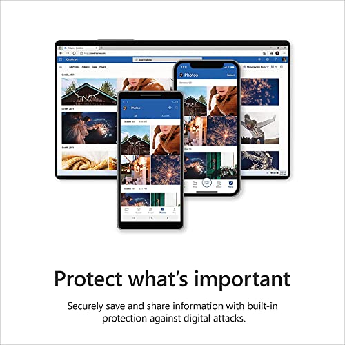 Microsoft 365 Business Standard | 12-Month Subscription, 1 person | Word, Excel, PowerPoint, Outlook, OneDrive | 1TB OneDrive Cloud Storage | PC/Mac Instant Download