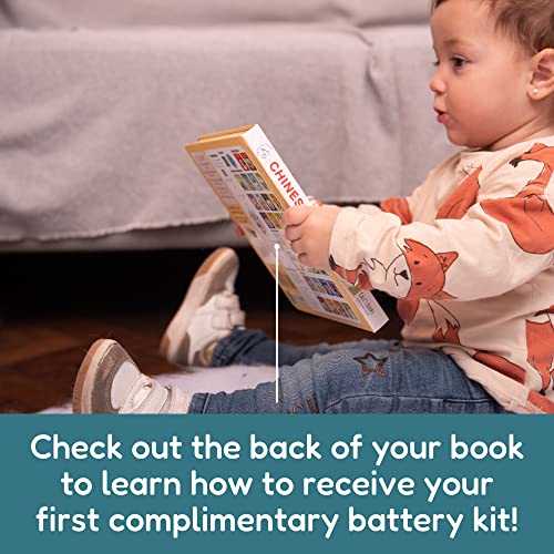 Cali's Books Battery Kit for Interactive Musical Books. Battery Kit with 9 AG10-LR54 Batteries and Small Screwdriver for Sound Books