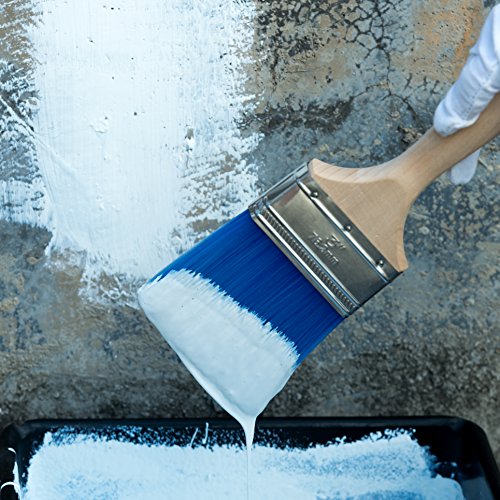 Bates Paint Roller - Paint Brush, Paint Tray, Roller Paint Brush, 11 Piece Home Painting Supplies, Foam Brush, House Painting Tray, Painting Tools, Roller and Paint Brushes, Interior Paint Brushes