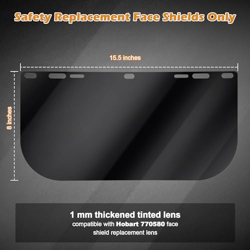 Feekoon 1 Pack Tinted Full Face Shield