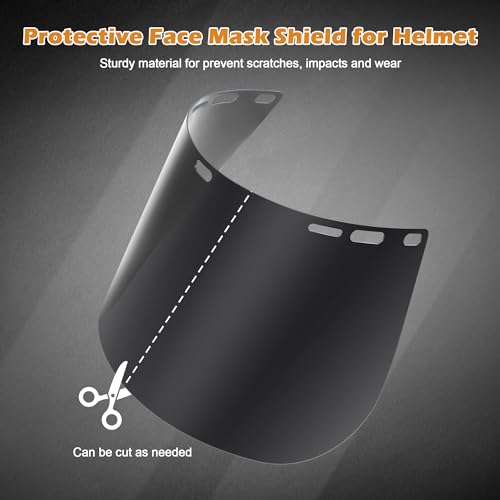 Feekoon 1 Pack Tinted Full Face Shield
