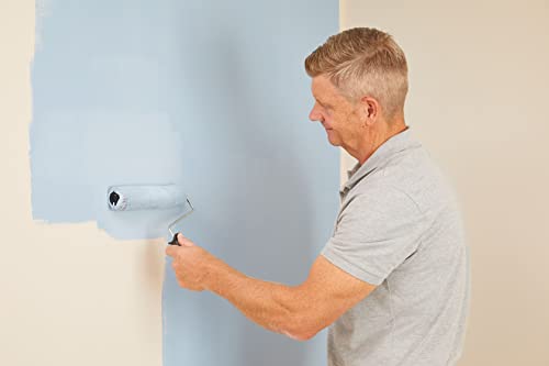 Fit For The Job 10pcs Home Decorating Kit Paint Rollers & Tray Set with Paint Brush,Dust Sheet,Stirrer - Roller Sets for Painting Walls & Ceilings with Emulsion, Mini Roller for Painting with Emulsion