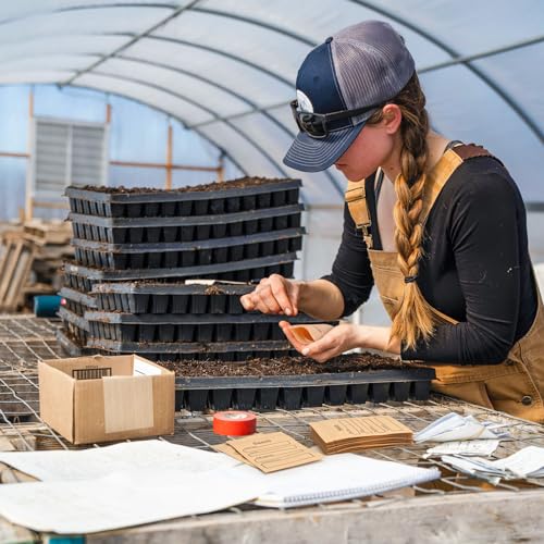 100 Small Seed Envelopes with Clear Window, Kraft Paper
