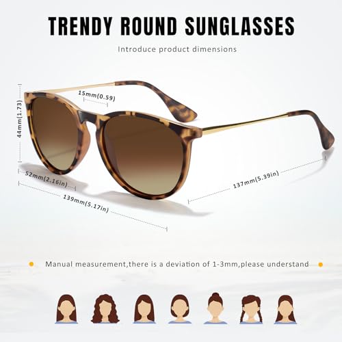2024 Vintage Retro Round Mirrored Lens Sunglasses for Men and Women
