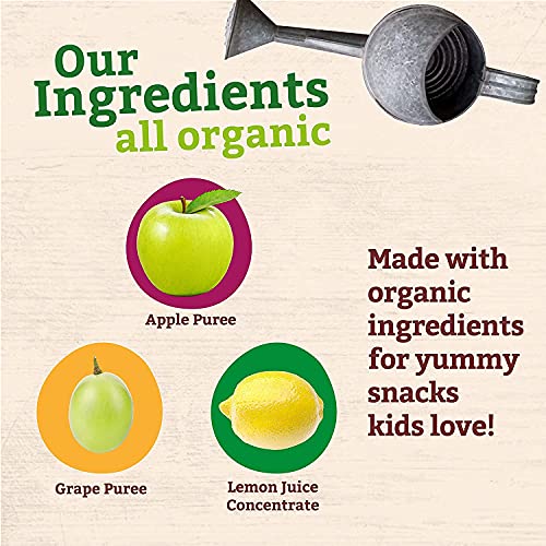 Peter Rabbit Organic Fruit Puree Apple Grape, 4oz x2