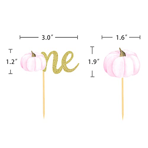Pumpkin One Cupcake Toppers Fall Birthday Party Cupcake Picks for Pumpkin 1st Birthday Cake Decorations, Little Pumpkin Baby Shower Supplies - set of 24 (one pink)