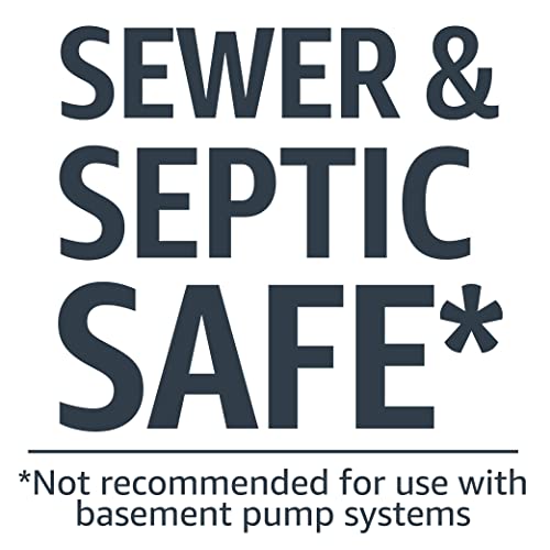 Amazon Basics Flushable Adult Toilet Wipes, Fragrance Free, 126 Count (3 Packs of 42) Packaging May Vary