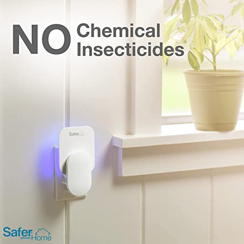 Safer Home SH503 Indoor Plug-In Fly Trap Refill Pack of Glue Cards for SH502 Indoor Fly Trap – 3 Pack