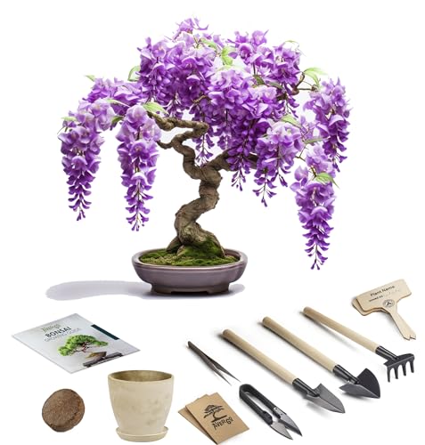 Bonsai Tree kit AVBK1-X3