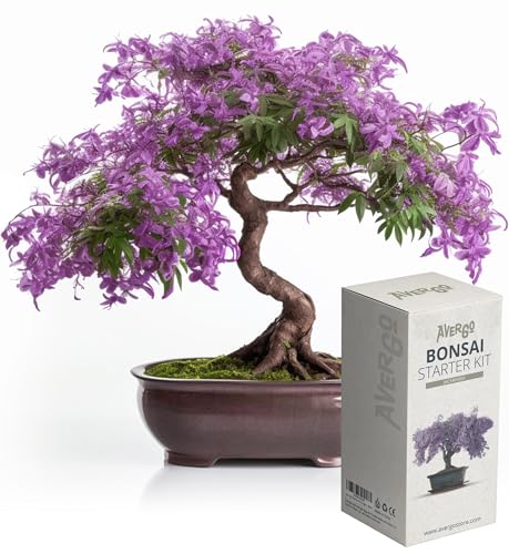 Bonsai Tree kit AVBK1-X3