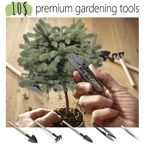 Bonsai Tree kit AVBK1-X3