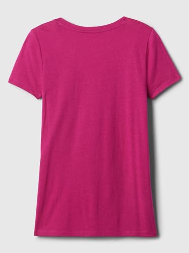 GAP Womens Favorite V-Neck Tee T-Shirt Desert Flower XL