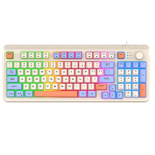 TROCHIN Gaming Keyboard Wired Mixed Rainbow Led Light Compact PC Slient Keyboard with Number Pad Dust-Proof Wired Gaming Keyboard 94 Keys for Computer/Laptop/Office/Gaming