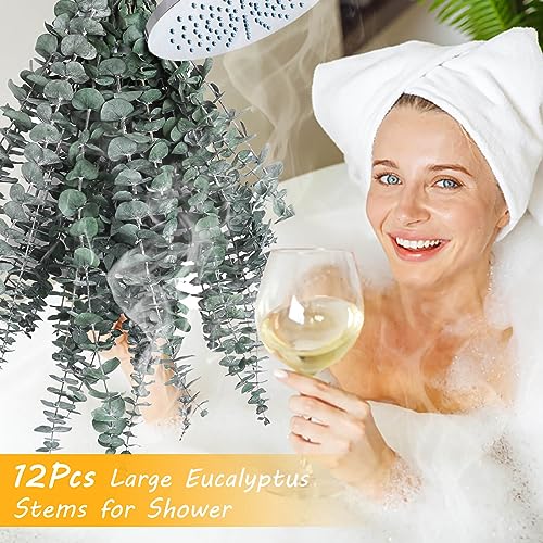 12 PCS Dried Eucalyptus Bundle for Shower - 17" Large Preserved Eucalyptus Stems Shower Plant, Fresh Real Eucalyptus Leaves for Shower Hanging, Artificial Flowers Arrangement, Home Bathroom Decor