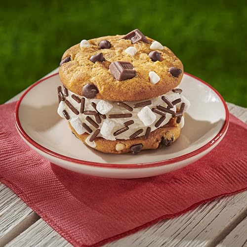CHIPS AHOY! Chewy Hershey's S'mores Milk Chocolate Chip Cookies, Limited Edition, 9.6 oz Packs