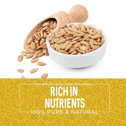 Sunflower Seeds Raw 2lbs – Unsalted Sunflower Seeds to Eat - Shelled Sunflower Seeds Bulk - Sun Flower Seeds for Eating - Sunflower Kernels - Raw Sunflower Seeds Shelled 32oz