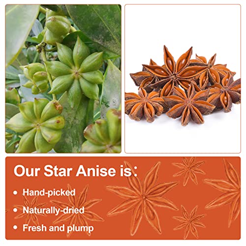 Spicefun Star Anise, Chinese Star Anise Whole 7oz(200g), Fresh, Pure and Dried Anise Pods, Great for Cooking, Baking and Tea(7 ounces)
