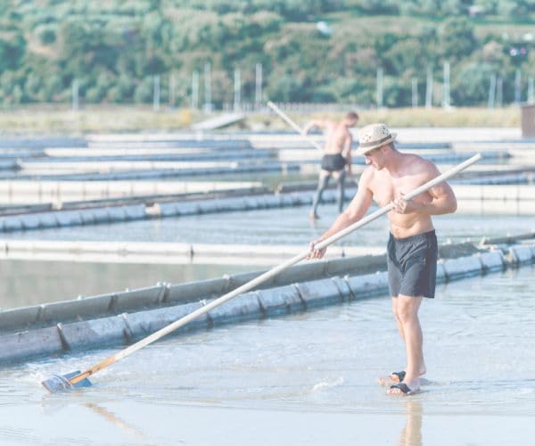 3.oz Jar - 82 Minerals FINE, French Celtic Style *Hand Harvested & Artisanal - Sea Salt that Hydrates - 100% Authentic, Vegan Kosher - Barabara Oneill recommended!