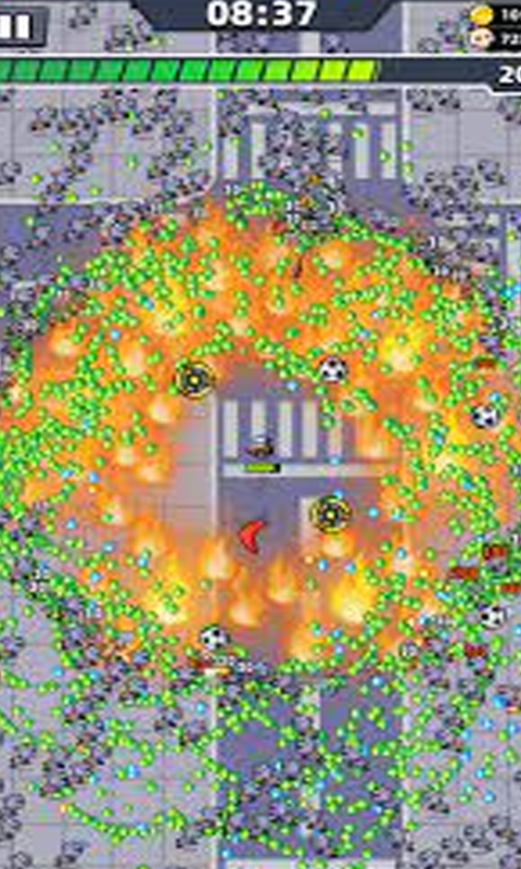 King Battle Survivor.io Game