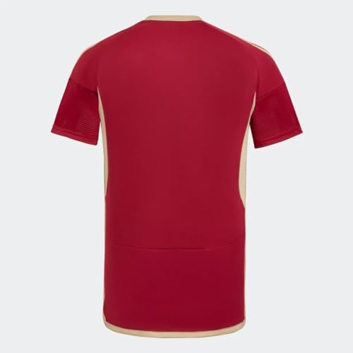 Venezuela Soccer Jersey La Vinotinto 2023/24 (US, Alpha, Large, Regular, Regular, Vinotinto)