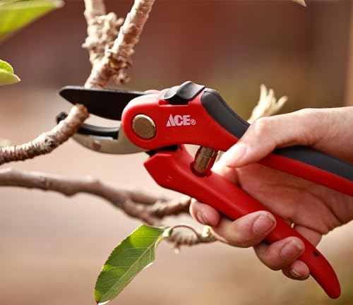 Professional Premium Pruning Shears, Hand Pruners, Garden Clippers