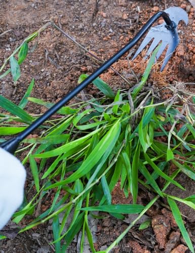 2024 Artifact Uprooting Weeding Tool, 16 Inch Black Long Handle Weed Puller Tool, 4 Teeth Manganese Steel Forged Gardening Hand Weeder, Seniors Best Garden Tools for Vegetable Gardening & Weeding