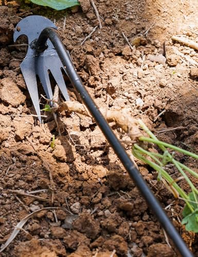 2024 Artifact Uprooting Weeding Tool, 16 Inch Black Long Handle Weed Puller Tool, 4 Teeth Manganese Steel Forged Gardening Hand Weeder, Seniors Best Garden Tools for Vegetable Gardening & Weeding