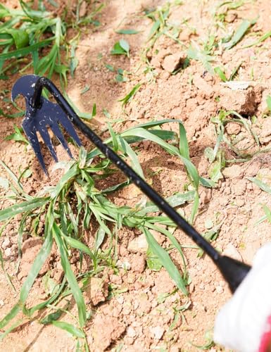 2024 Artifact Uprooting Weeding Tool, 16 Inch Black Long Handle Weed Puller Tool, 4 Teeth Manganese Steel Forged Gardening Hand Weeder, Seniors Best Garden Tools for Vegetable Gardening & Weeding