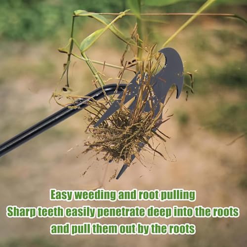 2PCS Weeding Artifact Uprooting Weeding Tool Weed Puller Tool Garden for Vegetable Gardening Farm, 2024New Weed Puller Tool，4 Teeth Manganese Steel Garden Hand Weeder Tool with Handle