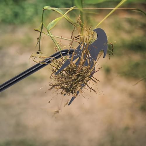 olybell Stainless Weeding Artifact Uprooting Weeding Tool, Stainless Steel Forged Weed Puller 4 Teeth Dual Purpose Weeder, Hand Weeder Tool for Gardening with Long Handle (Black 2Pcs)