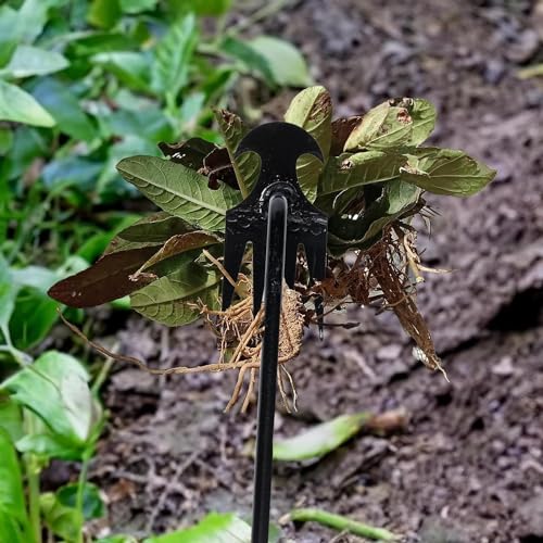 olybell Stainless Weeding Artifact Uprooting Weeding Tool, Stainless Steel Forged Weed Puller 4 Teeth Dual Purpose Weeder, Hand Weeder Tool for Gardening with Long Handle (Black 2Pcs)