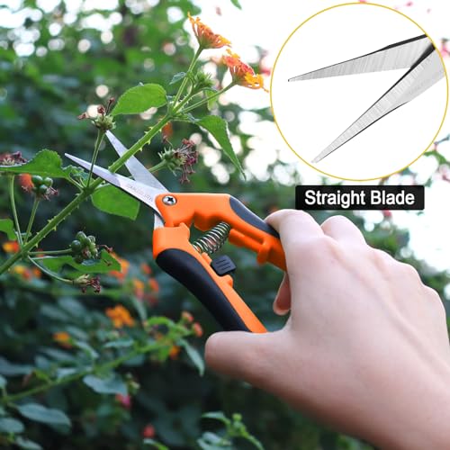Wevove Pruning Shears, Garden Shears,6.5 Inch Gardening Scissors Hand Pruner with Straight Precision Stainless Steel Blades 1Pack(Orange)