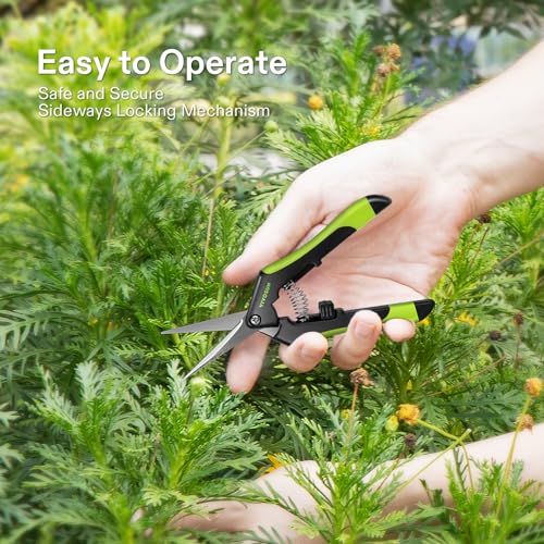 VIVOSUN Gardening Scissors 6.5 Inch Hand Pruner Pruning Shear with Straight Stainless Steel Blades, Black and Green