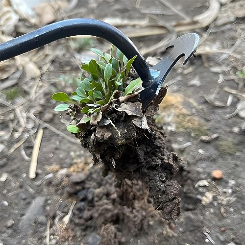 Jvoiyae New Weeding Artifact Uprooting Weeding Tool, 16 Inch Premium Steel Weed Puller 4 Teeth Dual Purpose Hand Weeder Tool, Weeding Pulling Tool for Gardening with Long Handle