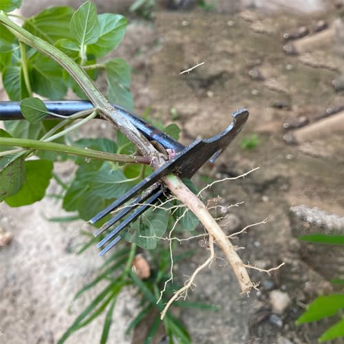Jvoiyae New Weeding Artifact Uprooting Weeding Tool, 16 Inch Premium Steel Weed Puller 4 Teeth Dual Purpose Hand Weeder Tool, Weeding Pulling Tool for Gardening with Long Handle
