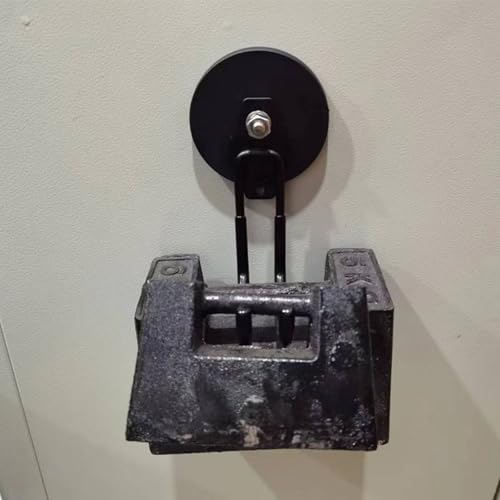 AplysiaTech Heavy Duty Magnetic Hooks - 8 Pack