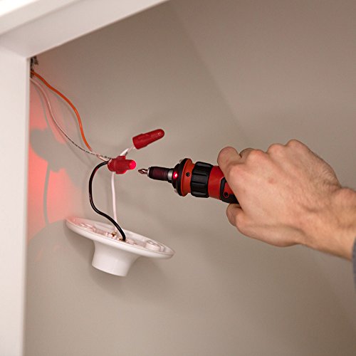 SKIL 4V Cordless Screwdriver with 45-Piece Bit Set