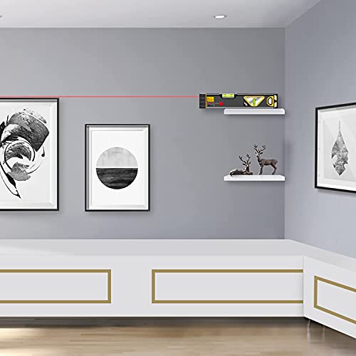 PREXISO 2-in-1 Laser Level with Spirit Level