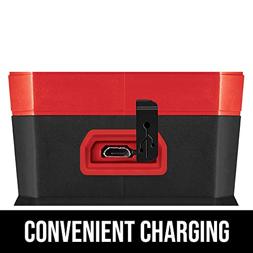 SKIL 65ft Red Self-Leveling Cross Line Laser Level