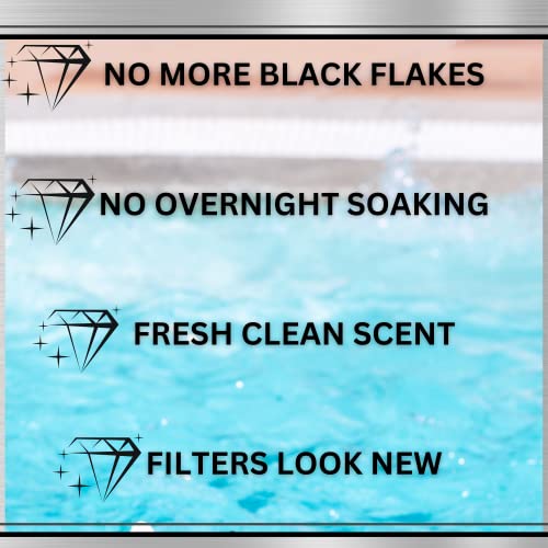 Black Diamond Stoneworks Ultimate Spa Filter Cleaner Fast-Acting Spray. Instant Clean for Hot Tub & Pool Filters Leaving Behind no Sticky Residue. Prolongs Filter Life and Pool Equipment. No Soaking