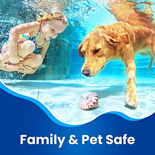 Hot Tub Defoamer - Pool, Fountain, & Spa - Antifoam Concentrate - Silicone Emulsion - Quickly Removes & Prevents Foam in Water - Eco Friendly & Safe Formula - No Harsh Chemicals - 1/2 Gallon (64 oz.)