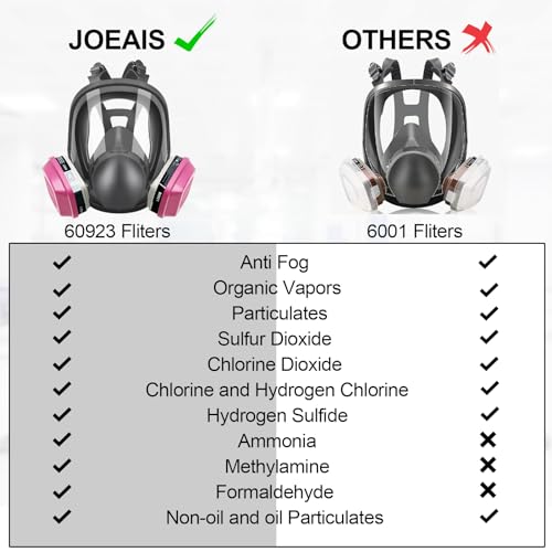 JOEAIS Full Face Respirator Mask with Organic Vapor