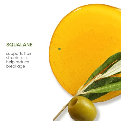 Biolage Strength Recovery Shampoo | Gently Cleanses & Reduces Breakage | For All Damaged & Sensitized Hair | Vegan | Cruelty-Free | Strengthening Shampoo | Infused with Vegan Squalane | 13.5 Fl. Oz