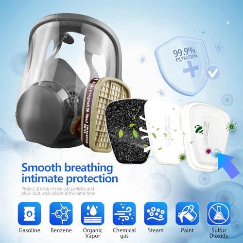 DIEBA Full Face Respirator Mask with Activated Carbon