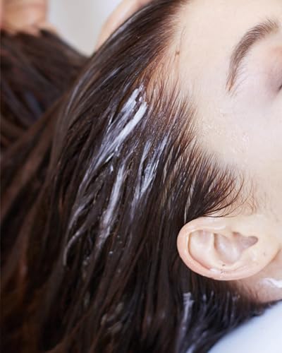 Hairstory New Wash DEEP Clarifying Cleansing Cream + Scalp Brush for Oily Hair | Color Protectant | Sulfate-Free | Natural | Apple Cider Vinegar & Argan Oil | Shampoo & Conditioner Alternate, 8oz