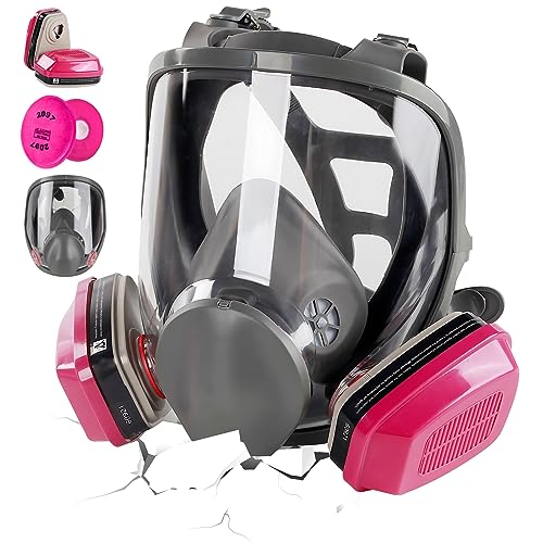 6800 Reusable Full Face Gas Mask with Filters