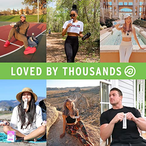 No Cow High Protein Bars, Dipped Variety Pack - Healthy Snack, 20g Vegan Protein, High Fiber, Low Sugar, Keto Friendly, Dairy & Gluten Free (12 Count)