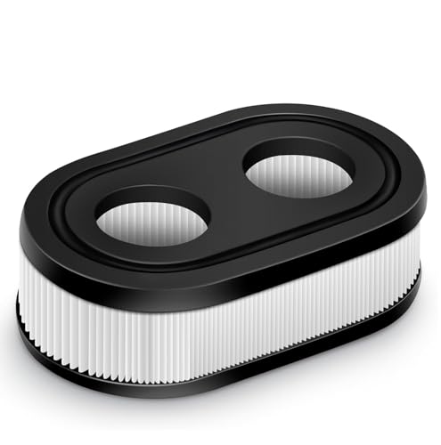 2 Piece Briggs & Stratton Air Filter Set