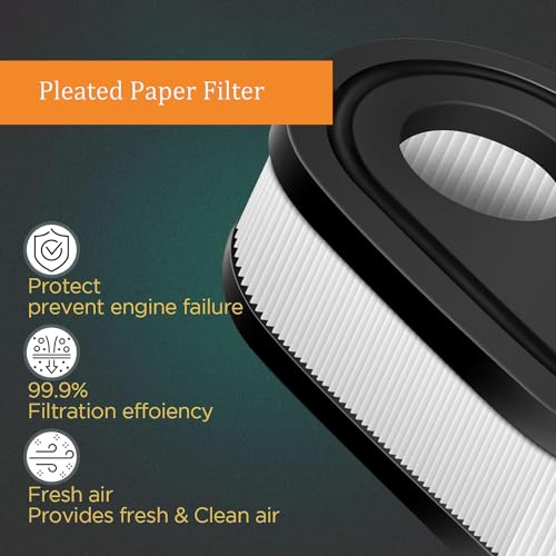 2 Piece Briggs & Stratton Air Filter Set